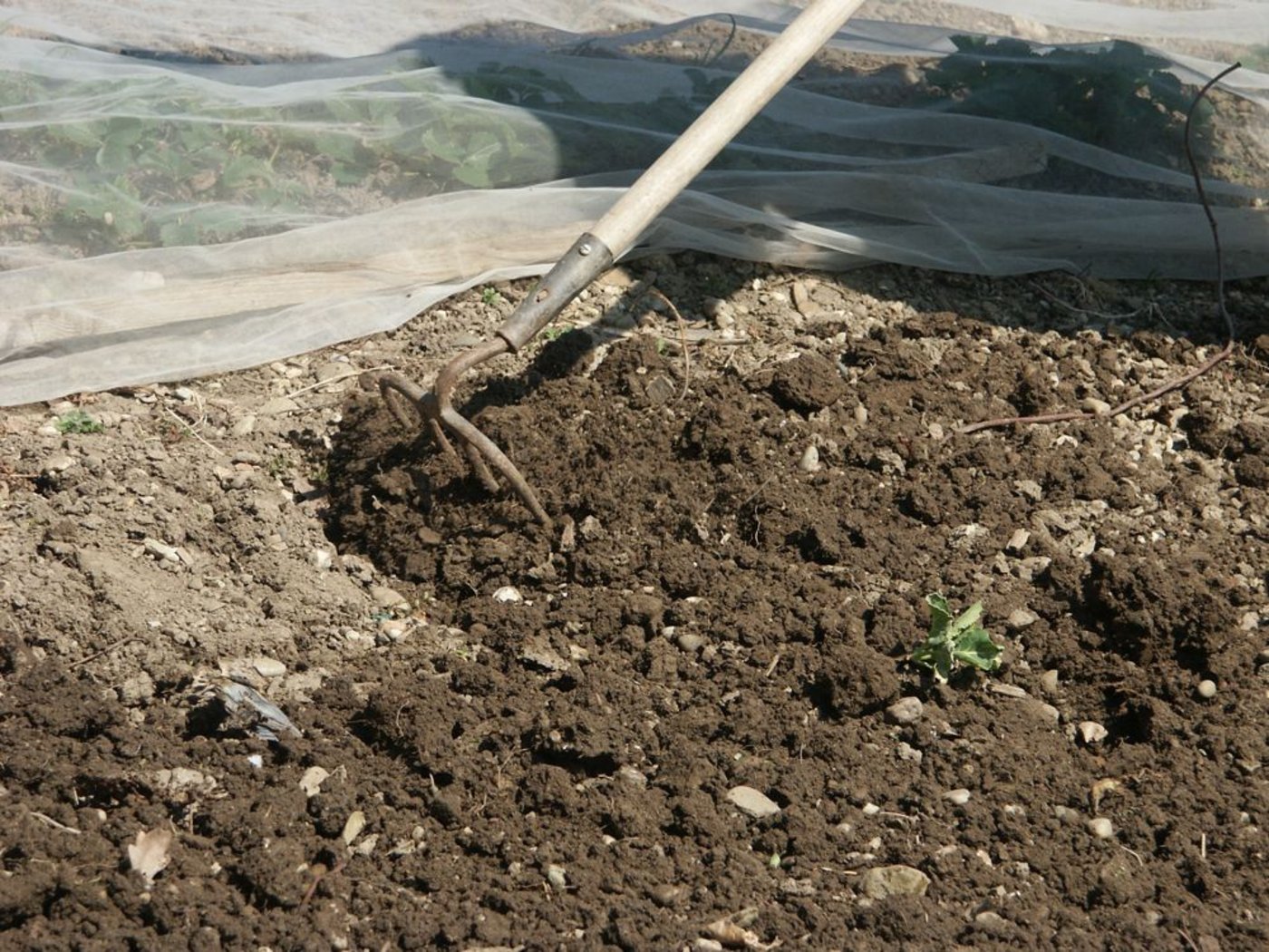 Das internationale Jahr des Bodens beginnt in drei Wochen. (Bild BauZ)
