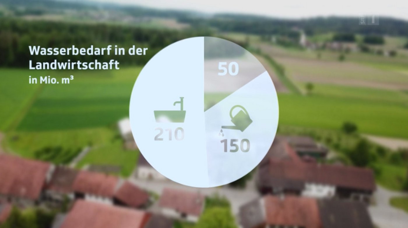 Der grösste Teil des in der Landwirtschaft verbrauchten Wassers wird in Durchlussbrunnen gebraucht. (Bild Screenshot SRF)