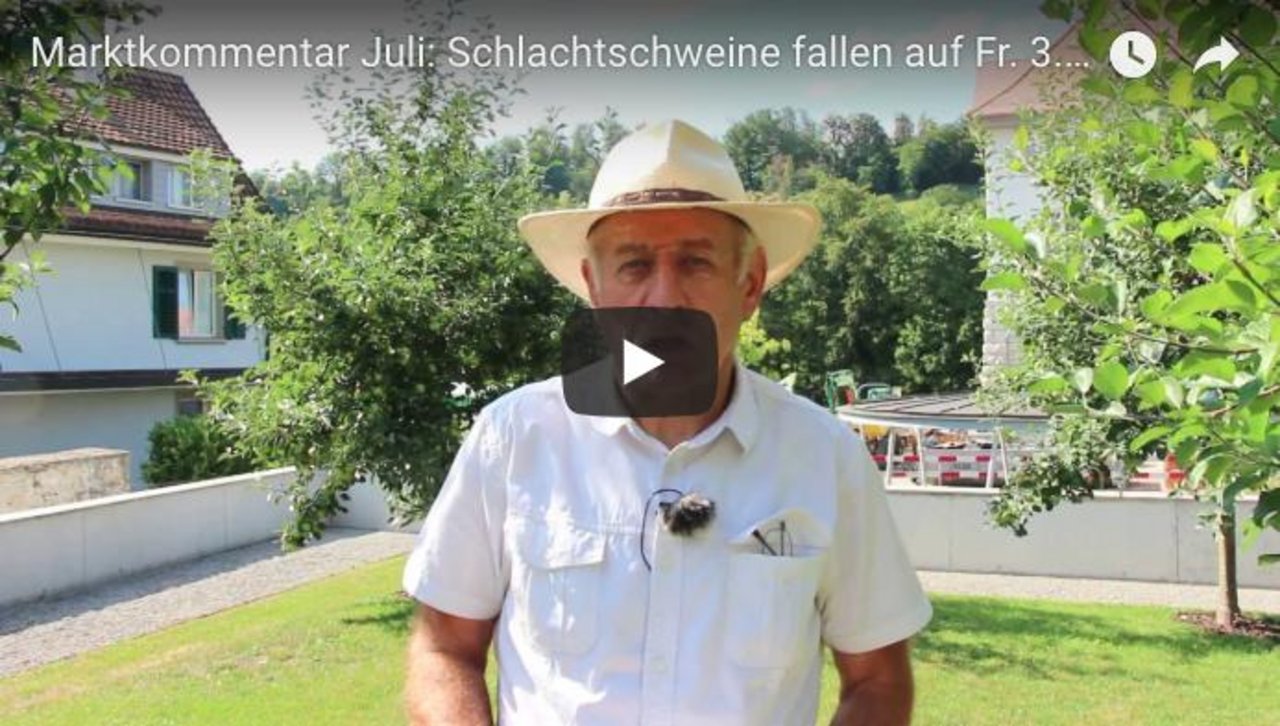 Im Video unten kommentiert Marktredaktor Hans Rüssli die Schlachtviehpreise. (Bild rue)