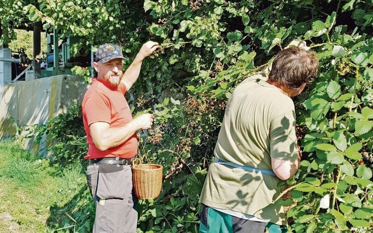 Bauer André Stalder (l.) mit A. L., einem Mann mit geistiger Beeinträchtigung, der von Montag bis Freitag auf dem Hof lebt und mithilft. Rund 20 Prozent seiner Arbeitszeit wendet André Stalder für Betreuungsaufgaben auf.