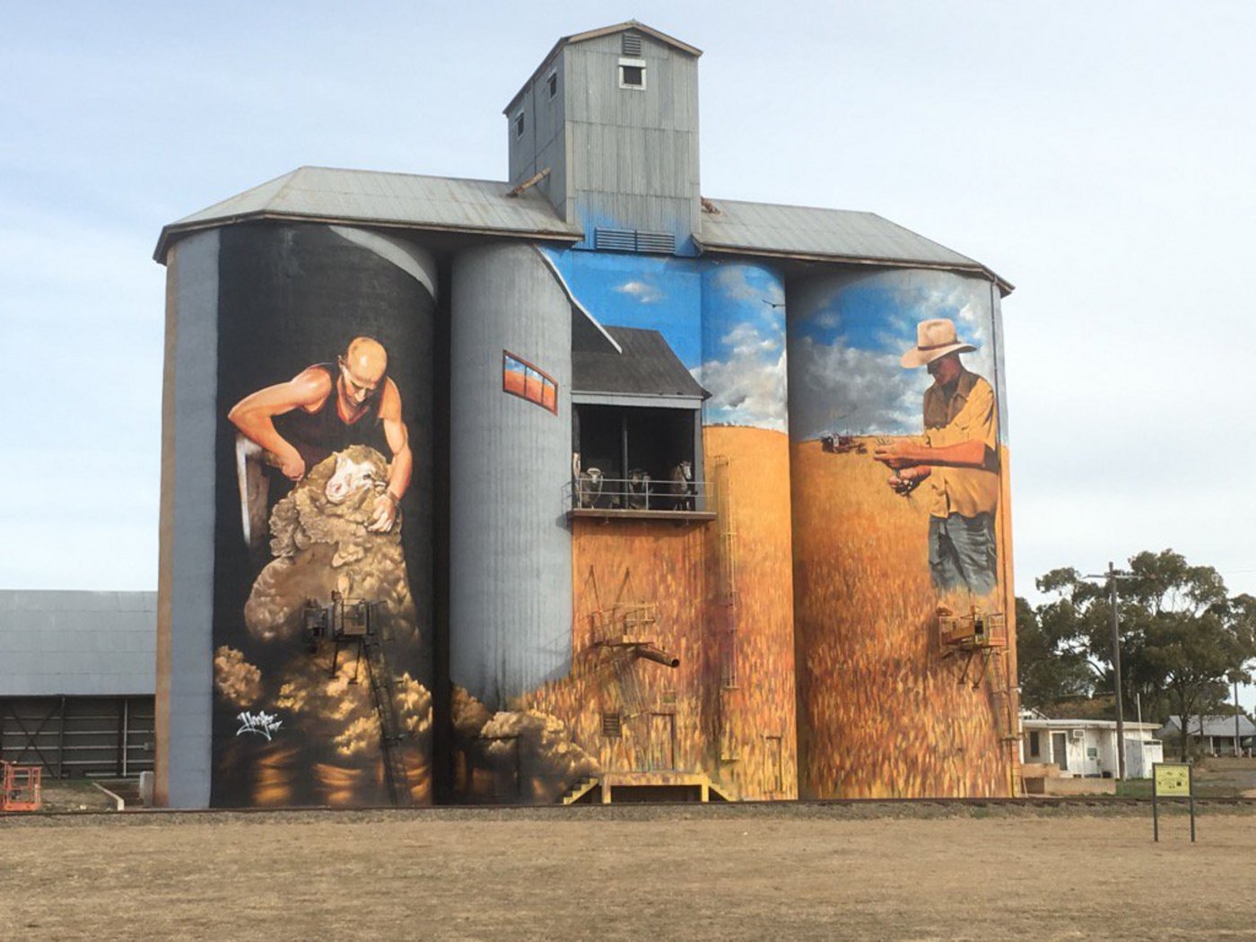 Hier ein weiteres hübsches Exemplar aus dem australischen Hinterland. (Bild Pixabay)