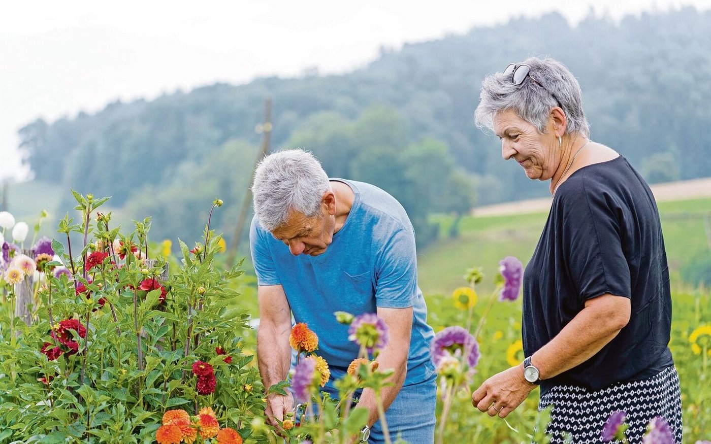 Zum Angebot gehört auch, dass die Kundinnen und Kunden selbst Blumen schneiden können. 