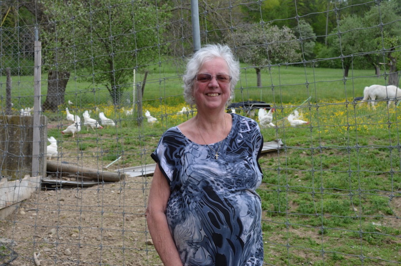 Auch wenn Anneliese Strehler etwas kürzer tritt, die Legehennen haben für sie eine grosse Bedeutung: Sie ist nach wie vor in die Direktvermarktung der Eier involviert. (Bilder Isabelle Schwander)