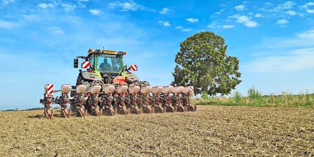 Ein Traktor von hinten fotografiert, wie er den Raps sät.