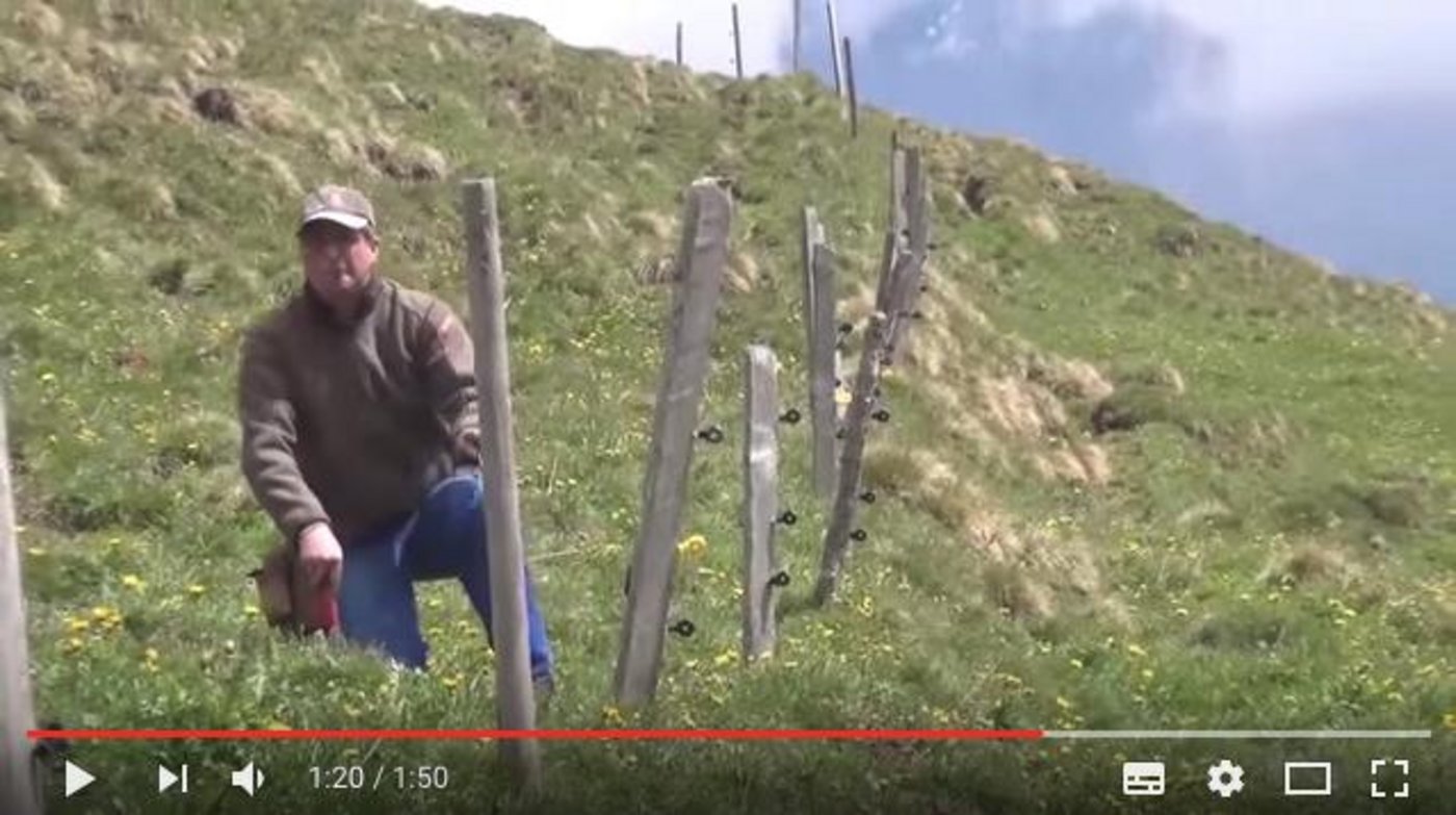 Casalp begleitet das Alpleben von verschiedenen Menschen filmisch. (Screenshot Youtube)