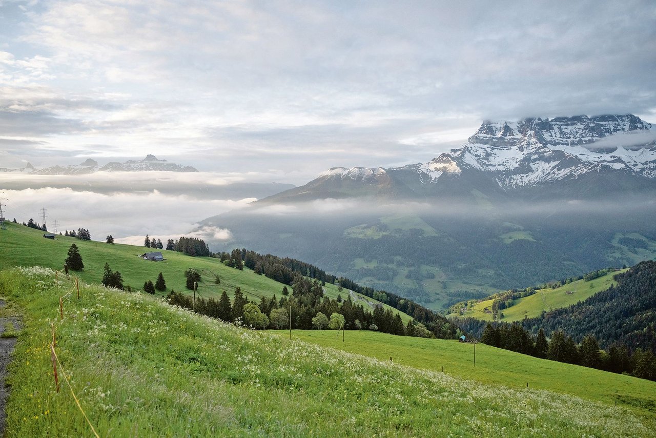Blick ins Tal von der Alp «Chanso II» auf 1650 m ü. M. – hier stellt die Familie Dubosson verschiedene Käse her. 