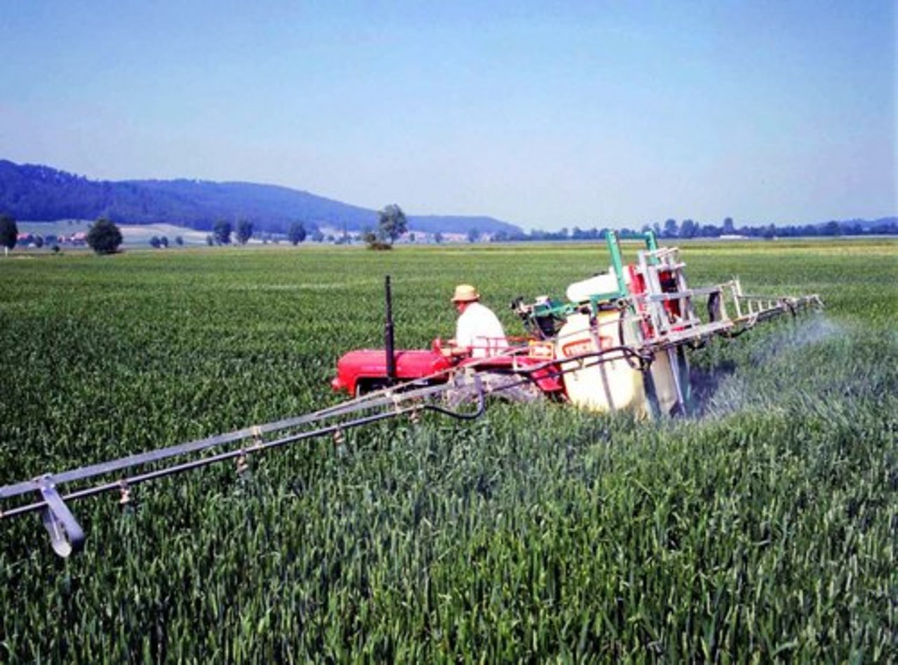Die EU hat die Pestizidrückstände auf Lebensmitteln gut im Griff. (Bild: lid)