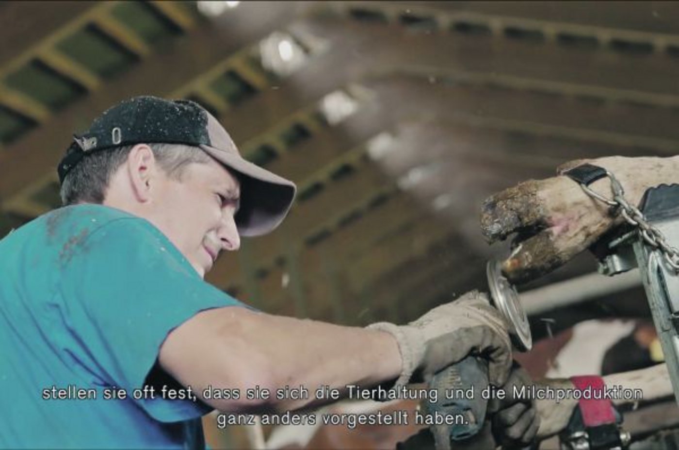 Die Filme sind realitätsnah, z. B. hier, wo Jürg Degen, Pratteln BL Klauen bearbeitet, rühmt Chefredaktor Adrian Krebs. (Bild Screenshot)