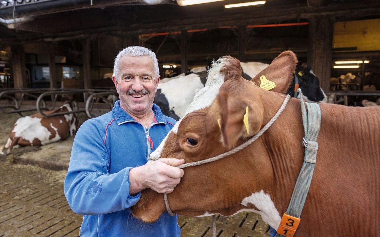 Jean-Jacques Duperrex hält eine Red Holstein-Kuh am Halfter.