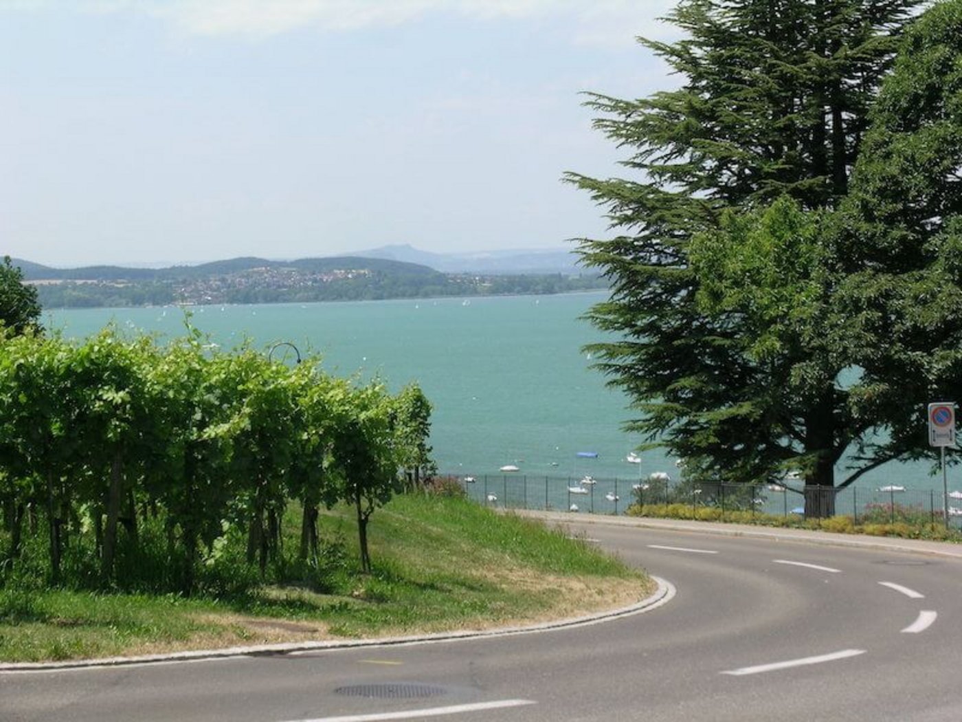 Das Marken-Gebiet von "Kraftgegend Seerücken-Untersee" umfasst ein grosses Gebiet, dessen Potenzial - aus Sicht der Projektinitianten - bislang zu wenig erkannt und genutzt wurde. (Bild Isabelle Schwander)