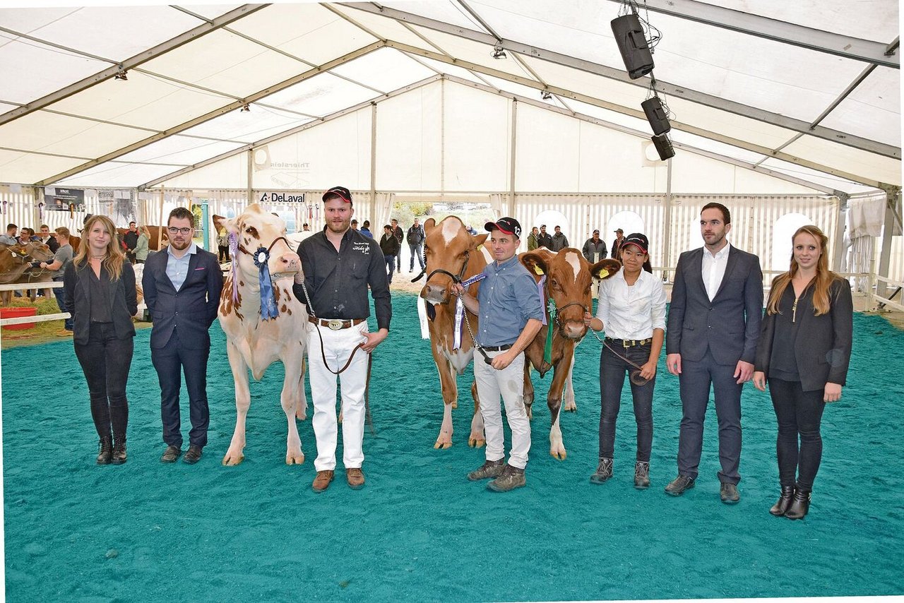 Intermediare Red Holstein (v. l. n. r.): Reserve: Gygers Jacot Dilara; Miss: Jacot Baylee; Mention: Wallierhof Brenaco Aurora.
