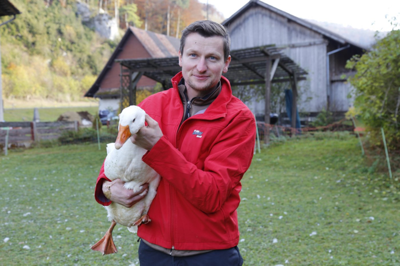 Seit kurzem hält Thomas Portmann Weidegänse; bei den Konsumenten kommen diese gut an. 