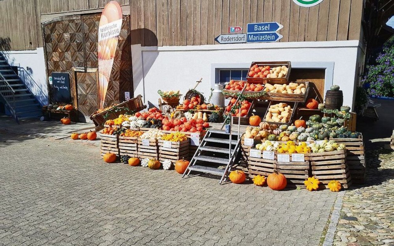 Die Kürbisausstellung gilt inzwischen als Wahrzeichen des Brunnenhofs und lockt jeden Herbst Besucher(innen) aus der ganzen Region an. 