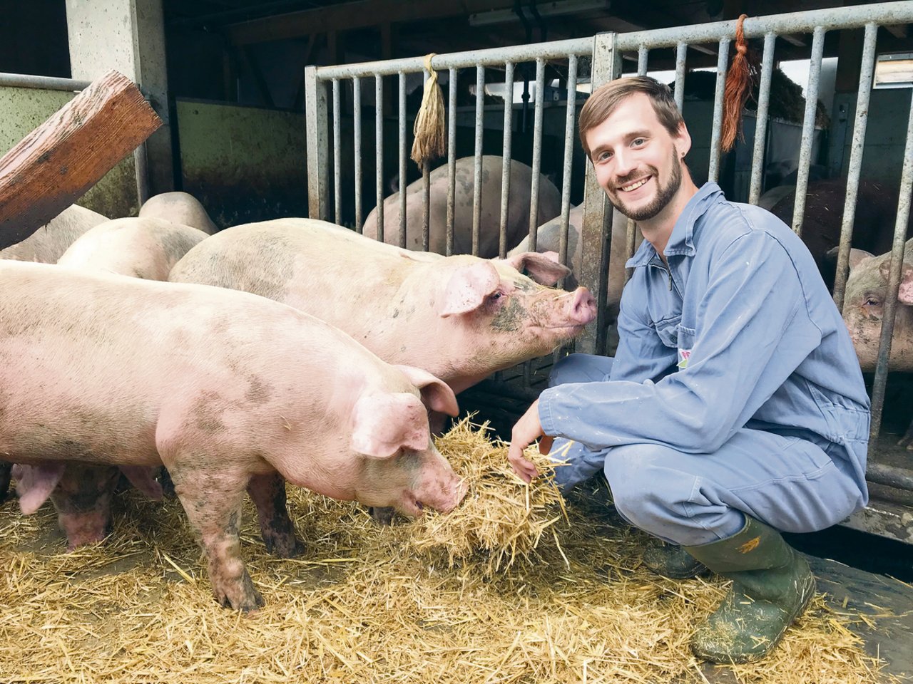«Die Arbeit mit den Schweinen bereitet mir Spass und Freude»: der gelernte Milchtechnologe, Schweinemäster und Agronom Philipp Egli sieht sich als Bindungsstelle zwischen Forschung, Ausbildung und Praxis. (Bild Strickhof)
