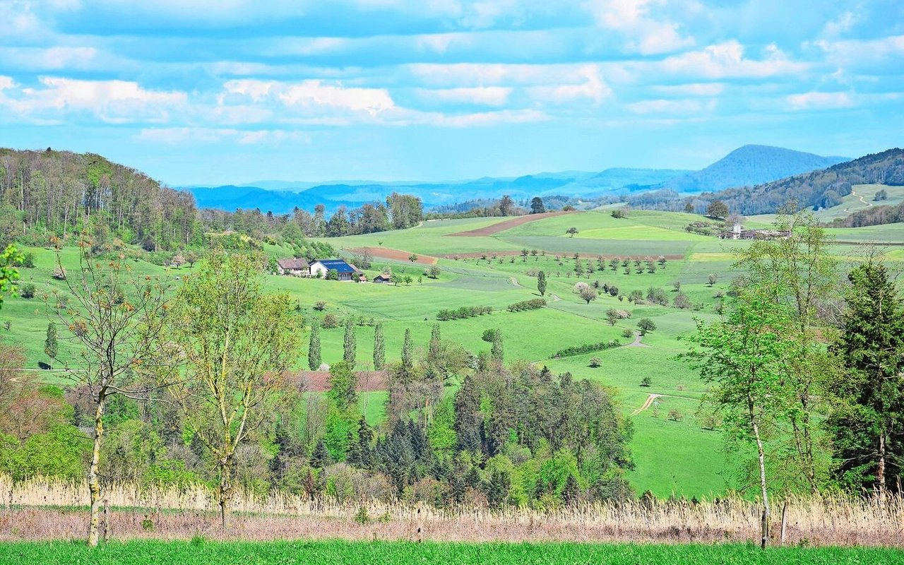 Auf dem Gebiet des Obstgartens Farnsberg werden diverse Massnahmen kombiniert, die Landschaft ist ein vielfältiges Mosaik mit Hochstammbäumen und Hecken.