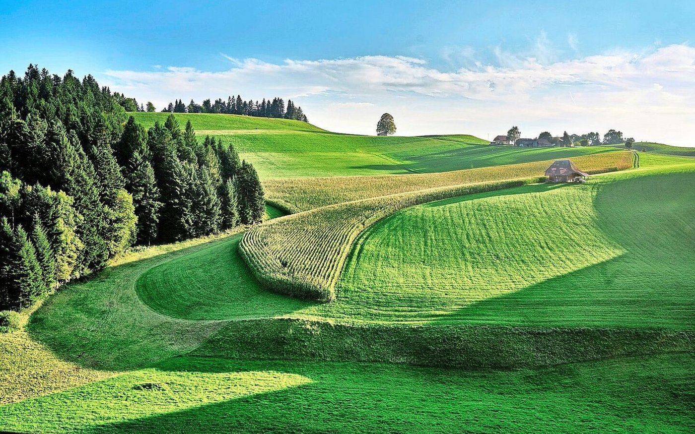 Finde die Linde. Mit Vorliebe wächst sie auf einem Hügel, wo ihre Symbolkraft besonders zur Geltung kommt.