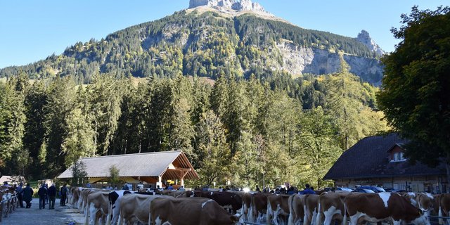 Der schöngelegene Schauplatz im Kemmeriboden-Bad. Im Hintergrund der Schybegütsch.