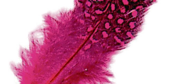 Unsere Redaktorin Simone Barth zum Thema Milchmarkt und Männer in der Politik. (Bild Archiv BauZ)