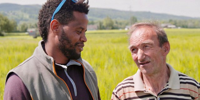 Bauer Markus Ramser bildet den Eritreer Tesfu Adhanom bei sich auf dem Hof aus. Bild: SRF