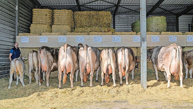 Züchter Wendelin Stäuble aus Sulz zeigte von seiner Kuh Vanessa gleich sieben weibliche Nachkommen. (Bild: Braunvieh Schweiz)