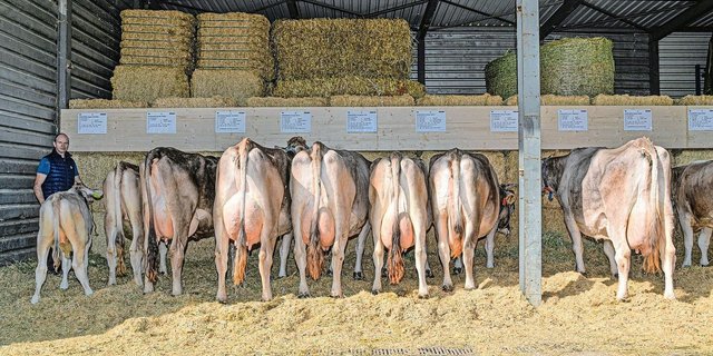 Züchter Wendelin Stäuble aus Sulz zeigte von seiner Kuh Vanessa gleich sieben weibliche Nachkommen.