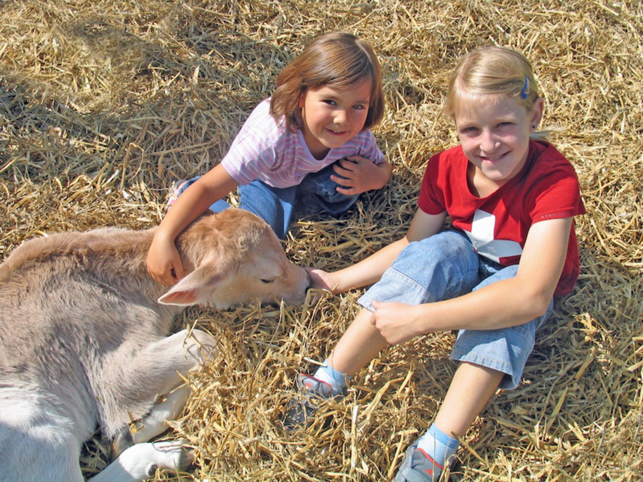 Zwei Bauernkinder streicheln ihr Kälbchen: Auf den meisten Bauernhöfen haben Tiere ein sehr gutes Leben – Tierleid sieht anders aus. (Bild Agnes Schneider Wermelinger)