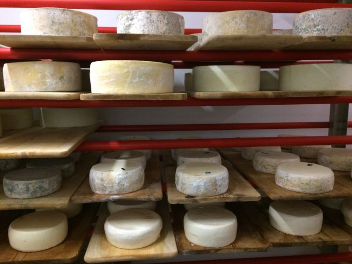 An der diesjährigen Olma wird zum 20. Mal der beste Alpkäse prämiert - die Preissumme beträgt 16'000 Franken. Hauptsponsor ist die Dachmarke Schweizer Alpkäse. (Symbolbild lid)