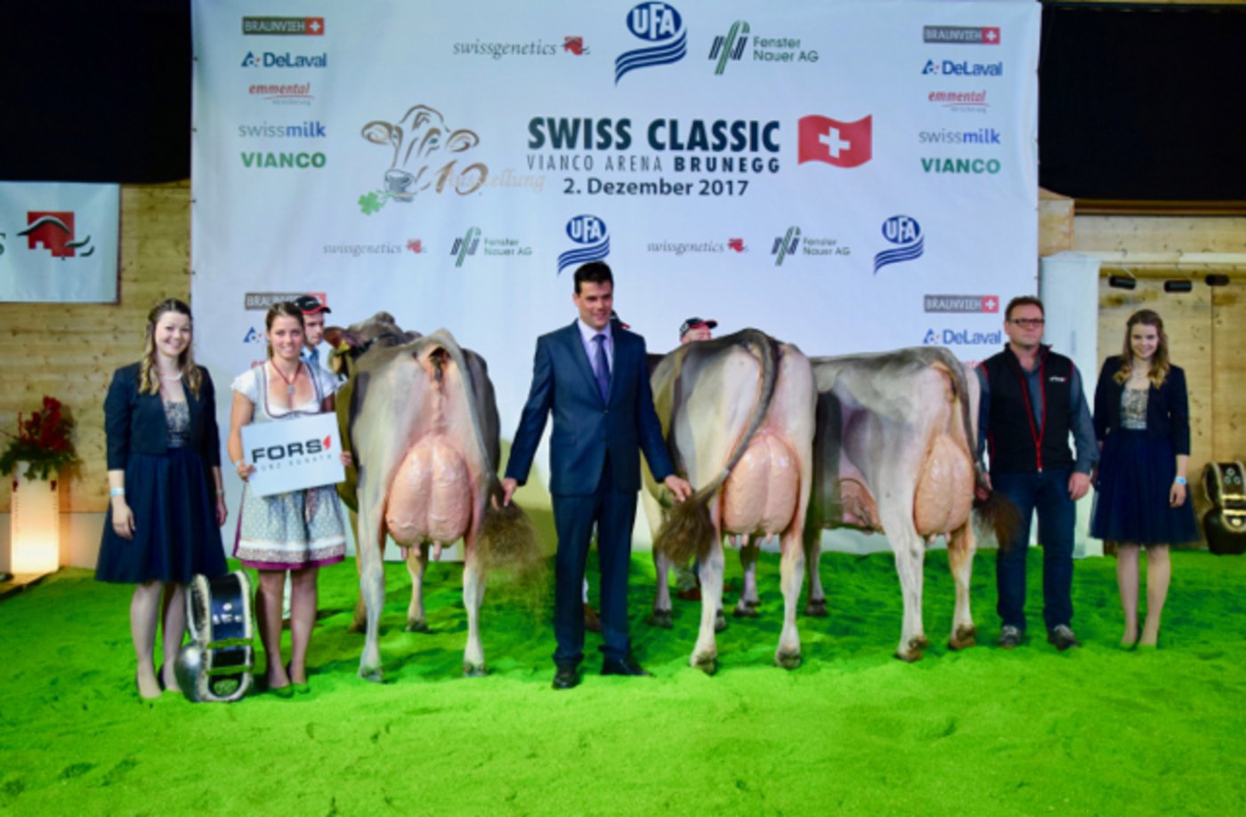 Diese Kühe gewannen einen Schöneuterpreis in der Kategorie ältere Kühe. 