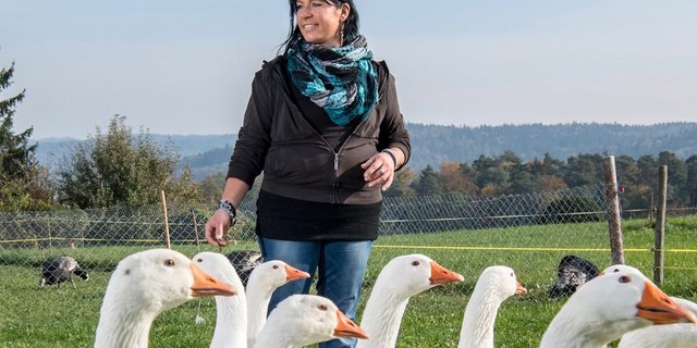 Andrea Aeppli hält auf ihrem Hof in Embrach Weidegänse. (Foto: Marion Nitsch)