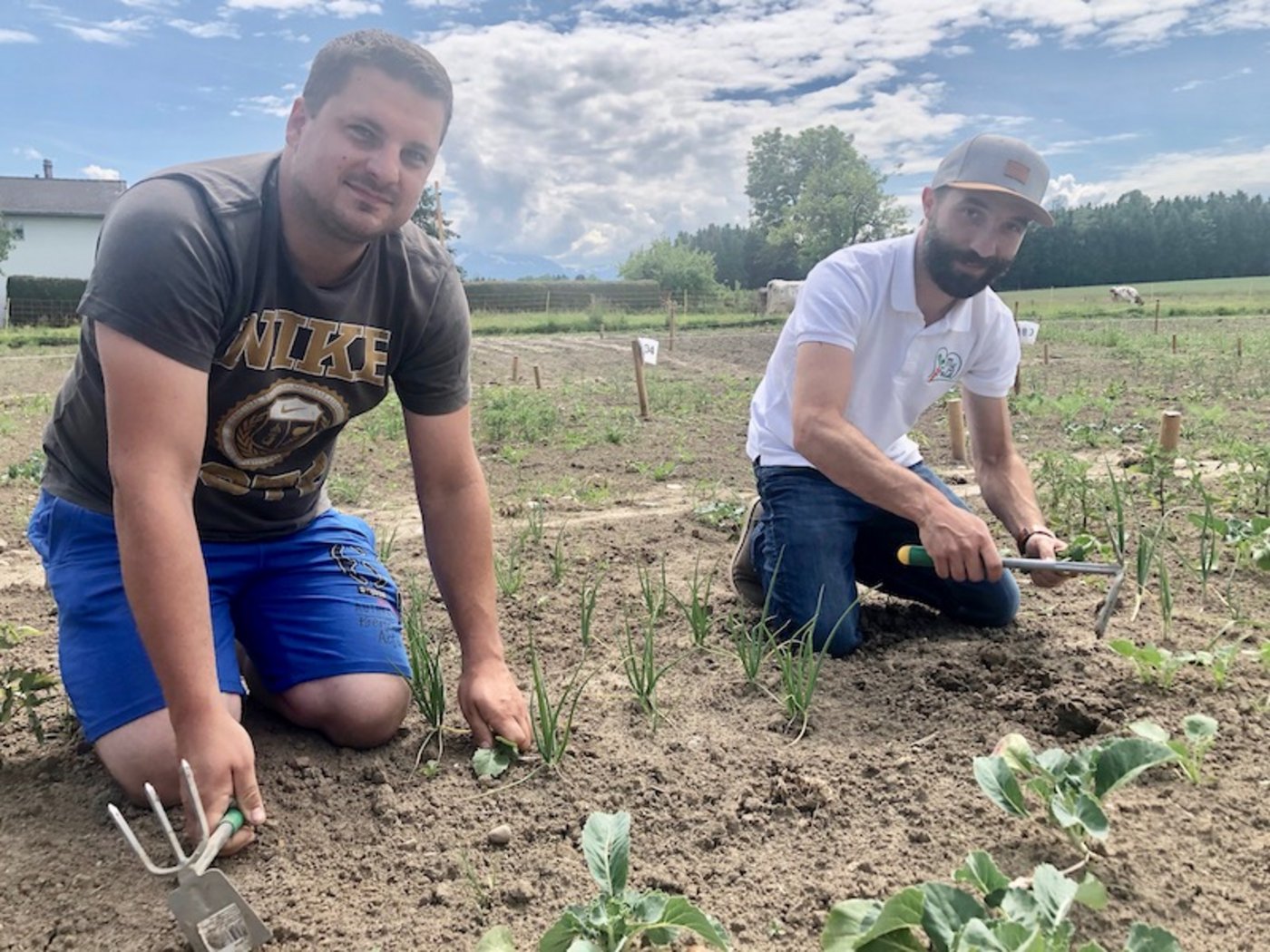 Marcel Villiger (l.) und Raphaell Schär beim Jäten der Gemüse-Kleinparzellen. Am Bildschirm kann sie der Kunde dabei via Webcam beobachten. (Bilder Esther Thalmann)