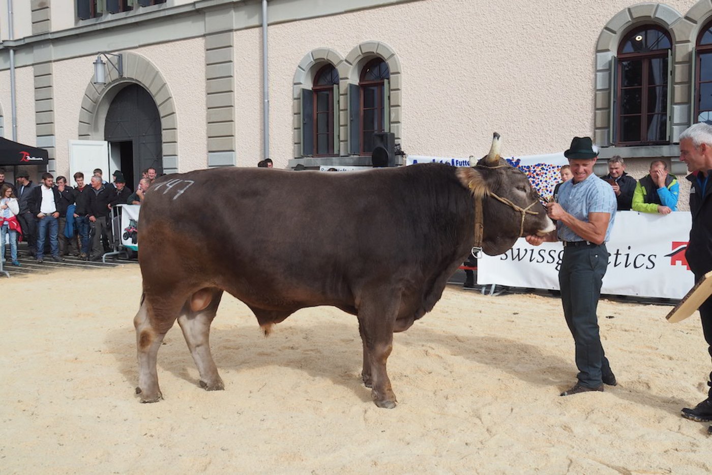 Mister OB wurde der Rio-Sohn Rambo von Theo Ehrbar aus Herisau.