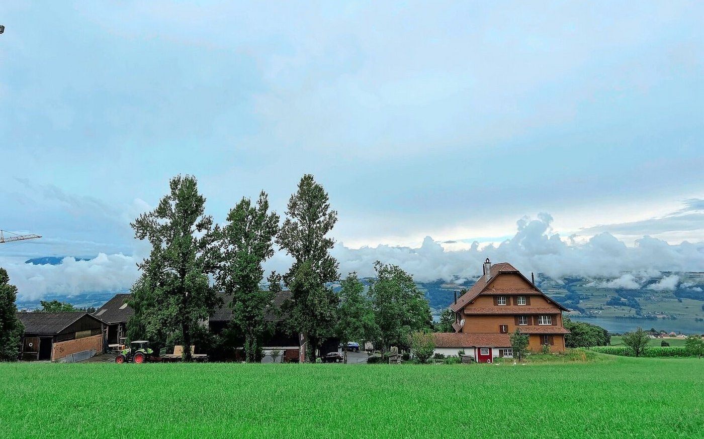 Hoch über dem Baldeggersee gelegen: der Hof von Rucklis mit den Betriebszweigen Schweinezucht und Ackerbau.