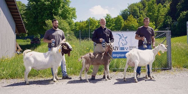 Mister Aargau von Marco Tanner; Miss Schöneuter von Heiri Zimmermann und Miss Aargau von Dominik Holzherr (v. l. n. r.).