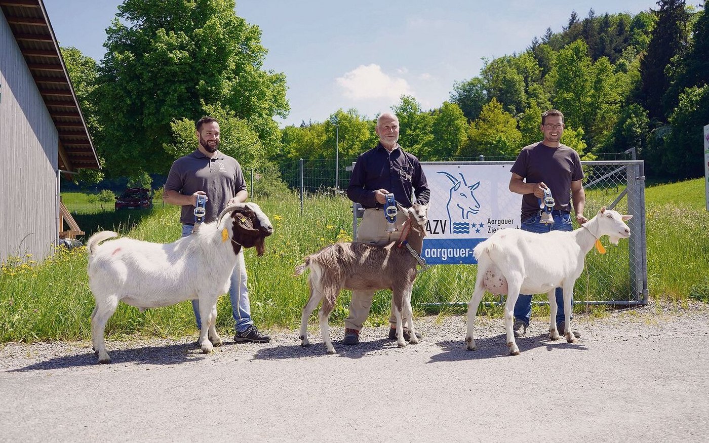 Mister Aargau von Marco Tanner; Miss Schöneuter von Heiri Zimmermann und Miss Aargau von Dominik Holzherr (v. l. n. r.).