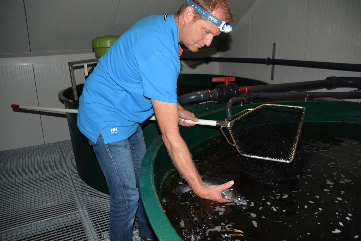Christian Steiger aus Büron bei einem Fischbecken mit Zander. (Bilder Josef Scherer)