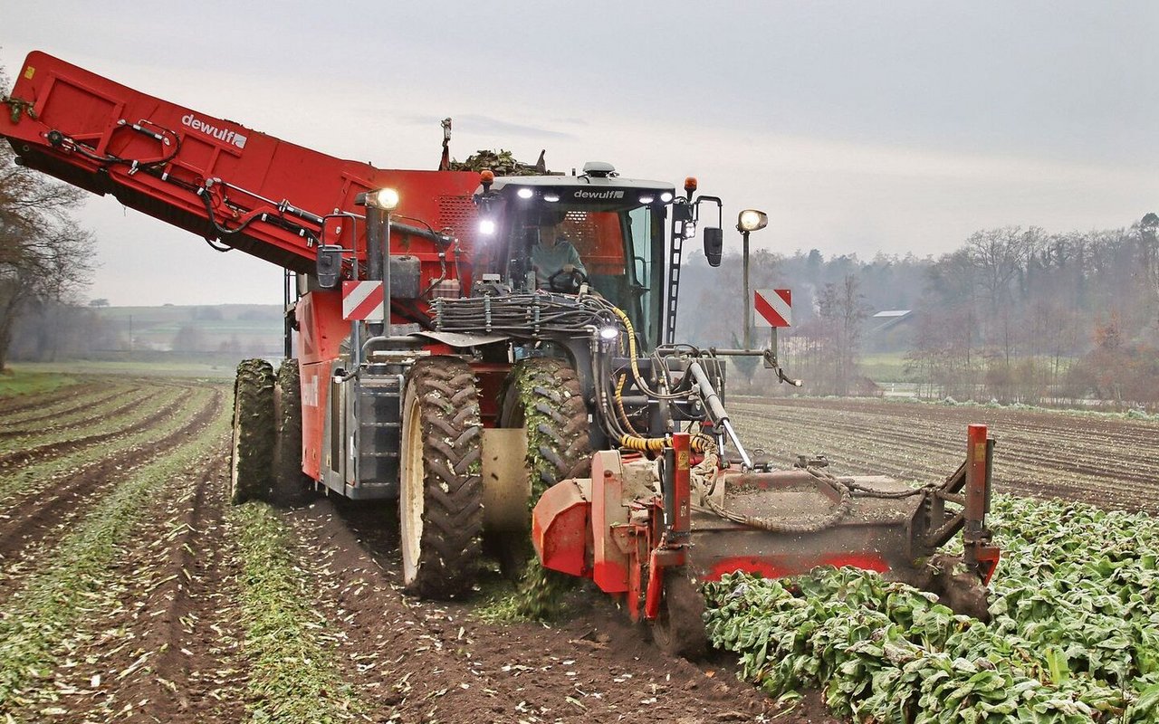 Bei der Ernte in Marthalen im Zürcher Weinland ist ein Spezialvollernter im Einsatz.