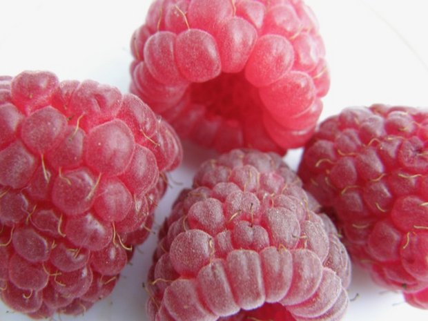 Himbeeren haben bis Juli bis Anfang Semptember Saison. (Bild Isolde Frick, landwirtschaft.ch)