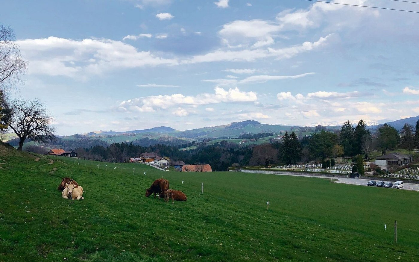 Sobald es an der Zeit ist, sollte möglichst früh geweidet werden. Das fördert die Bestockung.