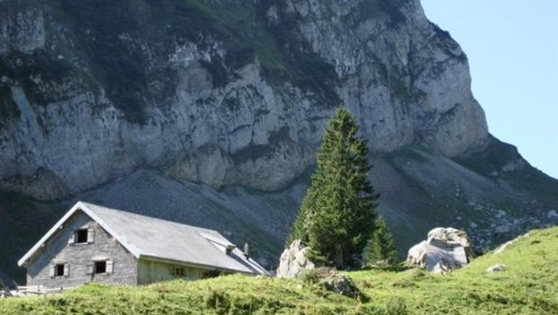 Die Schweizerische Arbeitsgemeinschaft für die Berggebiete SAB lehnt die Volksinitiative „No-Billag“ entschieden ab. (Bild Elisabeth Berli / landwirtschaft.ch)