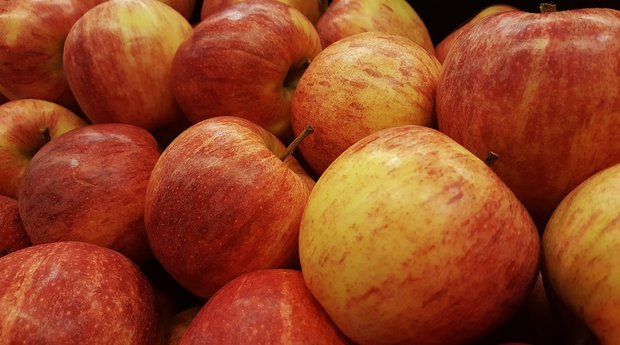 Ein Klassiker: Der Gala ist der beliebteste Apfel der Schweiz. (Bild Pixabay)