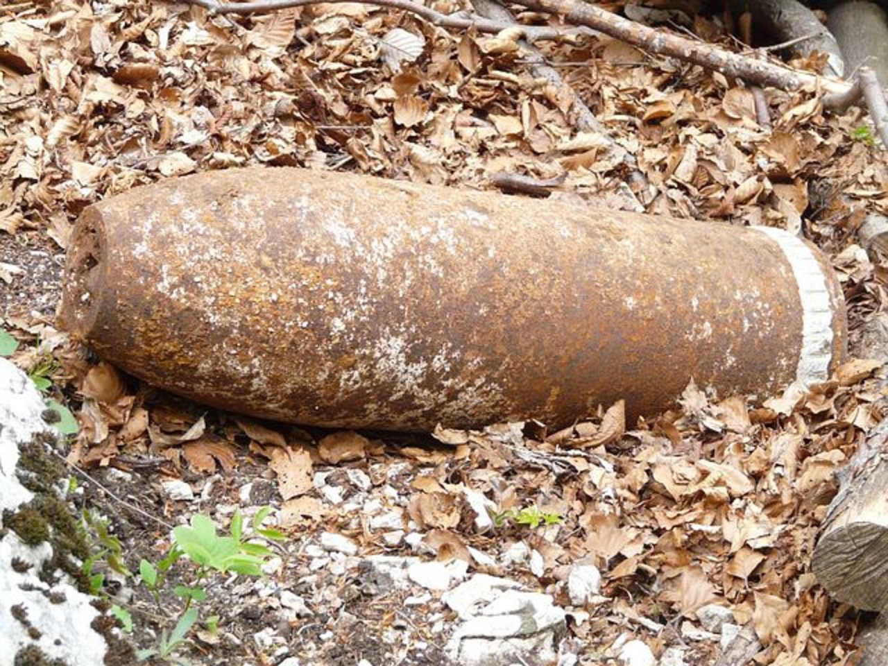 Durch den tiefen Wasserpegel in vielen Flüssen kommen immer wieder Weltkriegsbomben oder Granaten zum Vorschein. (Symbolbild Pixabay)
