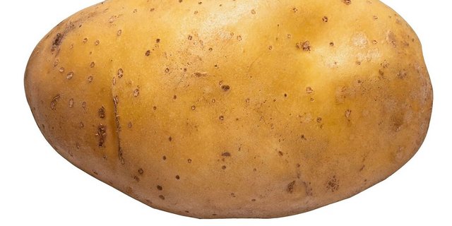 Die Erträge, sowie die inneren und äusseren Qualitäten variieren dieses Jahr sehr stark.