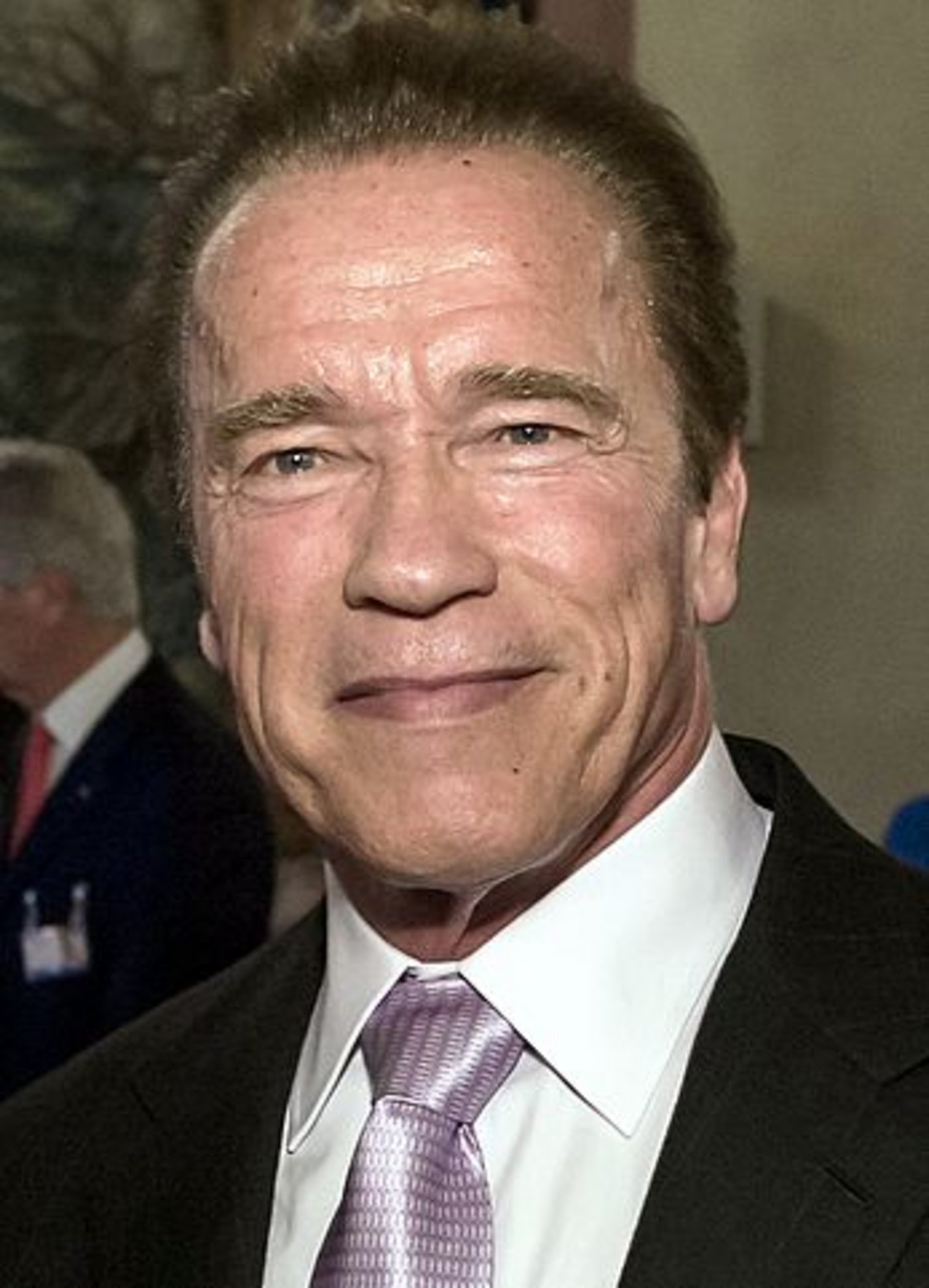 Arnold Schwarzenegger im Jahr 2015. (Bild Koch / MSC)
