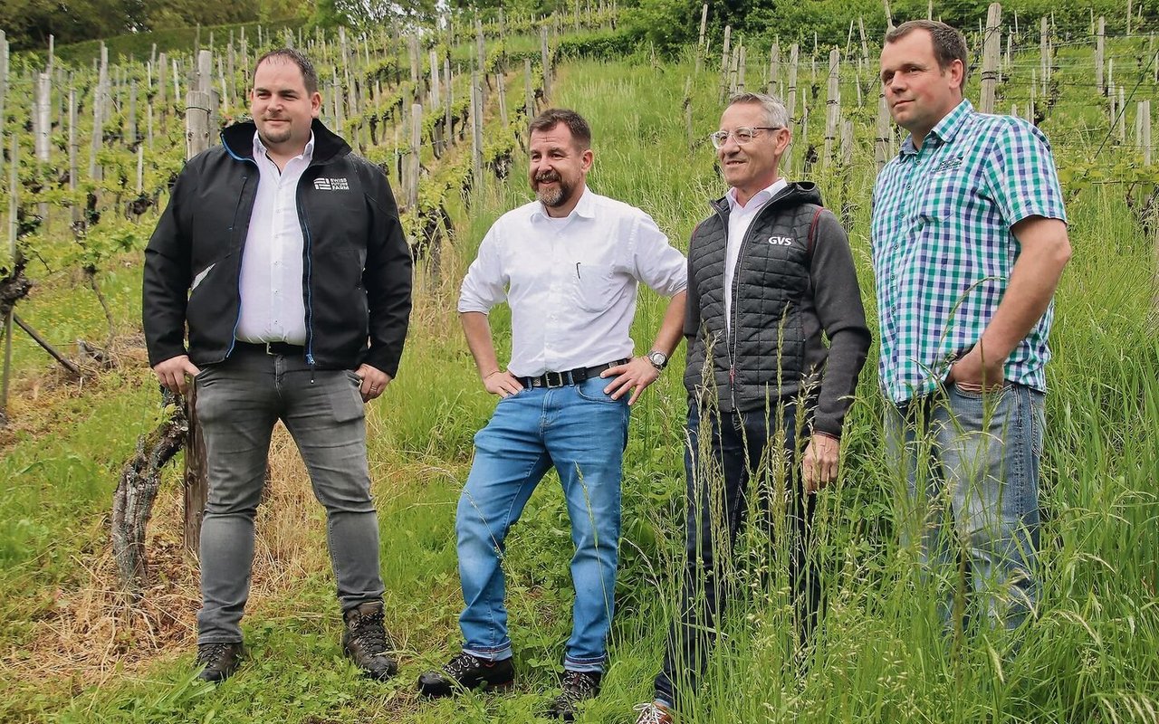 Das Team mit Nicolas Helmstetter, Philippe Brühlmann, Ugo Tosoni und Adrian Müller (v. l.) zeigte auf, wie sie den Weinberg künftig mit Piwi-Sorten bewirtschaften wollen.