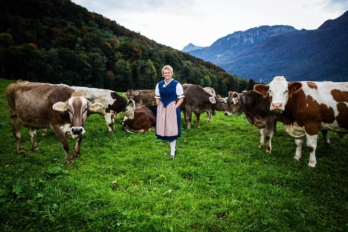 Die Familie Inderbitzin hat Ammen-Mutterkühe.