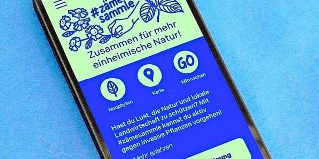 Die App zur Bekämpfung von invasiven Neophyten. 