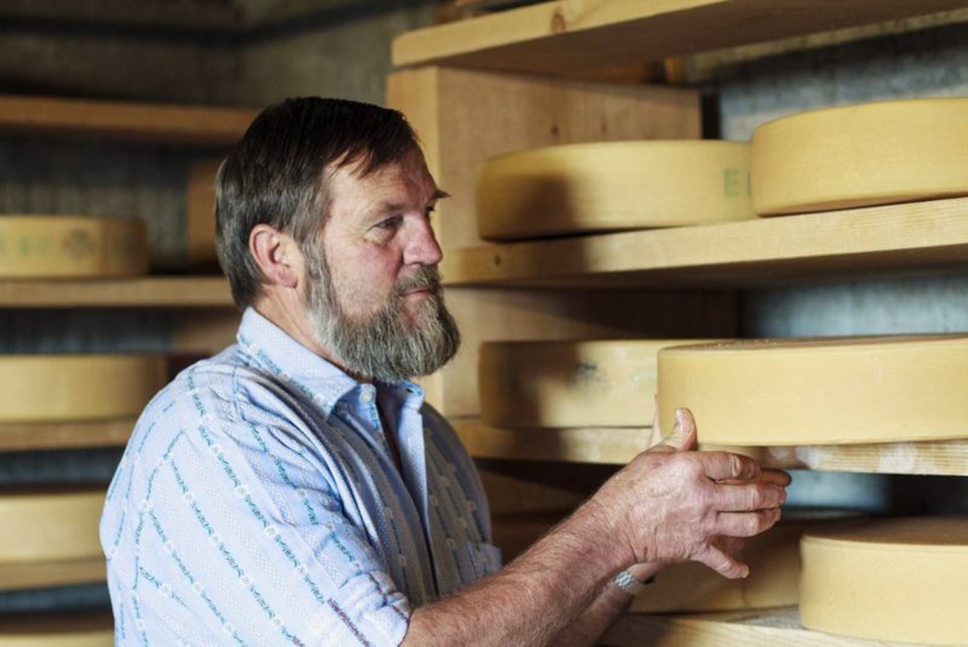 Die Produktion der traditionellen Produkte ist klar geregelt. Wie hier beim Berner Alp- und Hobelkäse AOP. (Bild AOP-IGP)