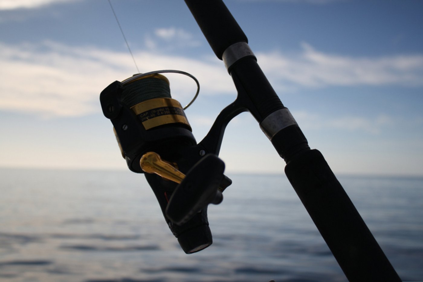 Die Schweizer Fischer wundern sich über den Bundesrat. (Bild ji)
