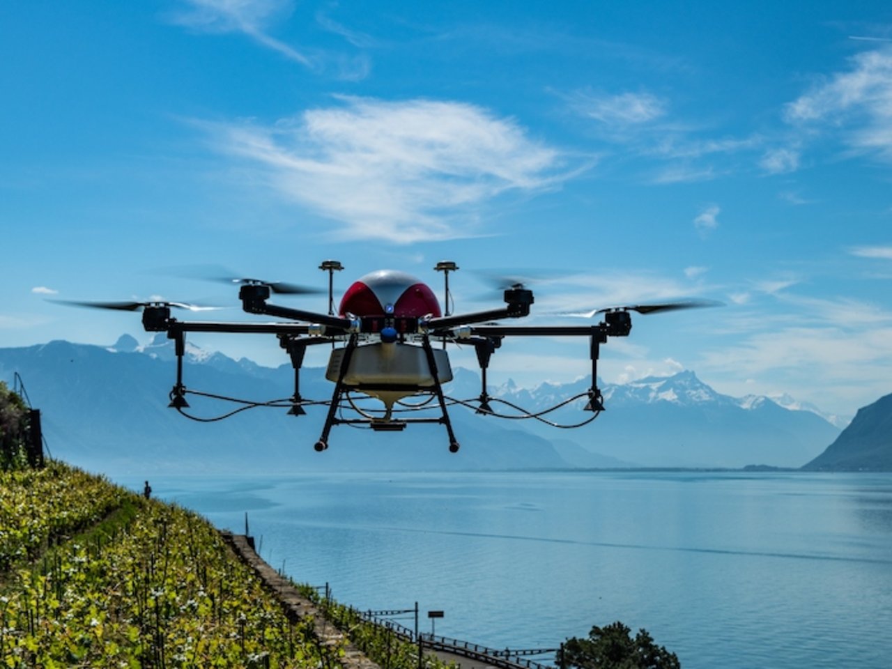 Mit Precision Farming soll der Einsatz von Pflanzenschutzmittel um bis zu ein Viertel gekürzt werden. Hier im Einsatz eine Drohne, sie stellt eine von sieben Massnahmen dar. (Bild Agrofly)