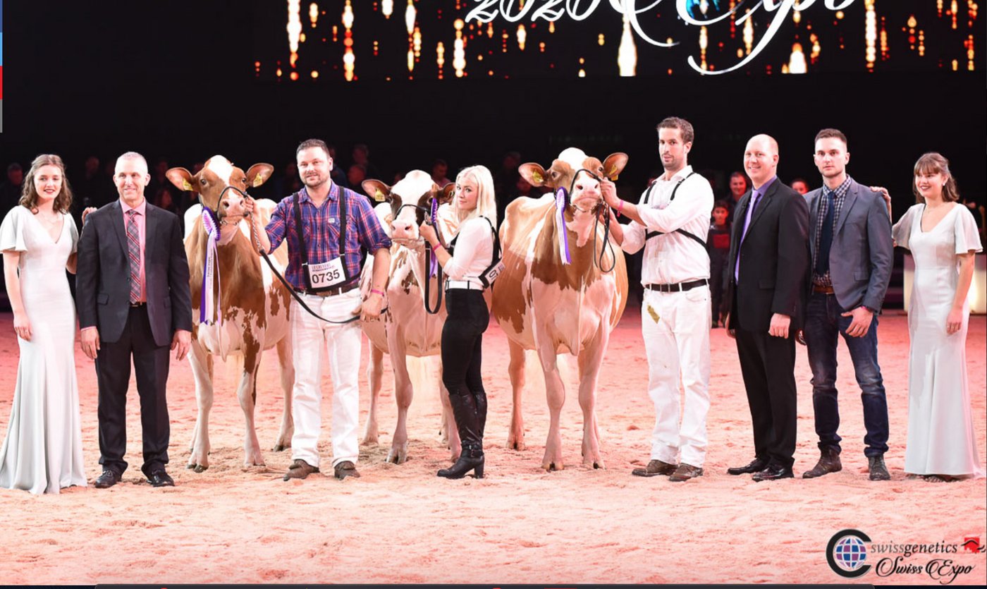 (v. l. n. r.): Intermediate Champion und zugleich Intermediate Schöneuter Ruchti’s O Kalif Florence von Martin Ruchti aus Niedermuhlern BE. Reserve La Waebera Agent Legacy von Michel Clément Michel aus Le Mouret FR, auf den Reserve-Platz. Dritte wurde Morandale Absolute Quasparine François Morand aus Vuadens FR.  